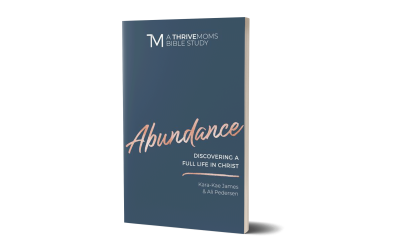 Abundance: Discovering A Full Life In Christ