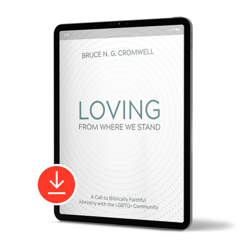Loving From Where We Stand E-Book