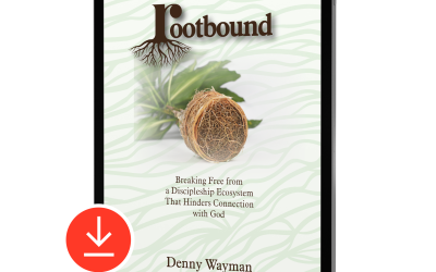 Rootbound: Breaking Free from a Discipleship Ecosystem That Hinders Connection with God (E-Book)