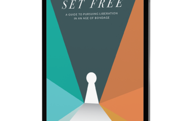 Set Free: A Guide To Pursuing Liberation in an Age of Bondage (E-Book)