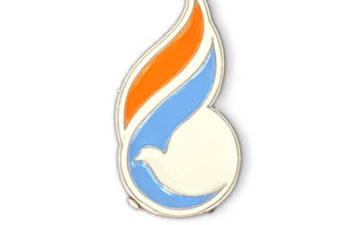 FM Logo Lapel Pin